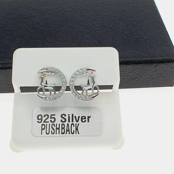 "925 sterling silver luxury CZ earrings for women/girls, Best for RJUS2226 - Picture 6 of 10